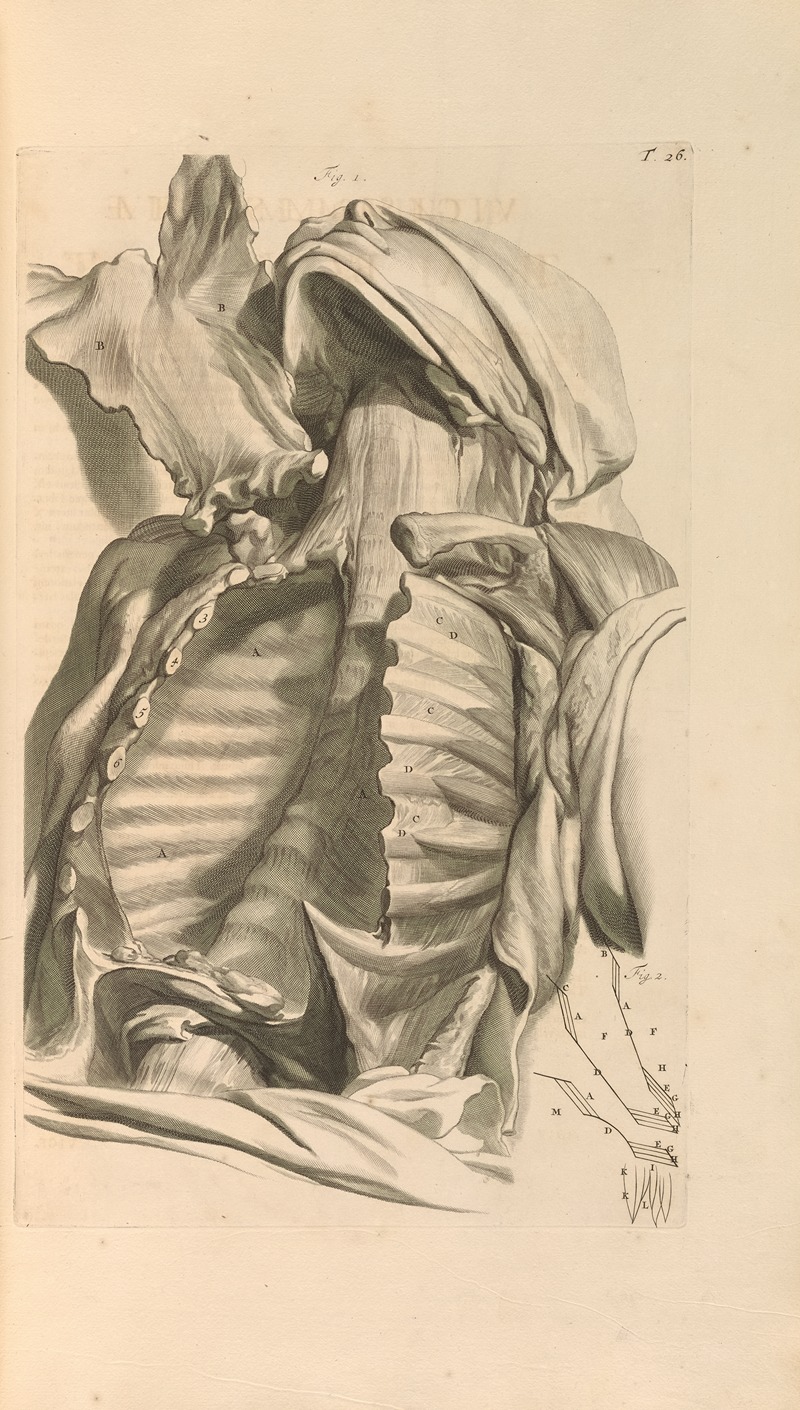 Gerard de Lairesse - Anatomia humani corporis Pl.027
