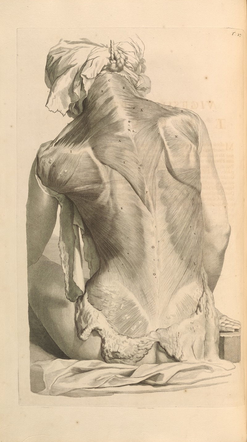 Gerard de Lairesse - Anatomia humani corporis Pl.028