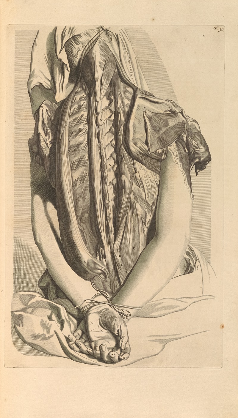 Gerard de Lairesse - Anatomia humani corporis Pl.031