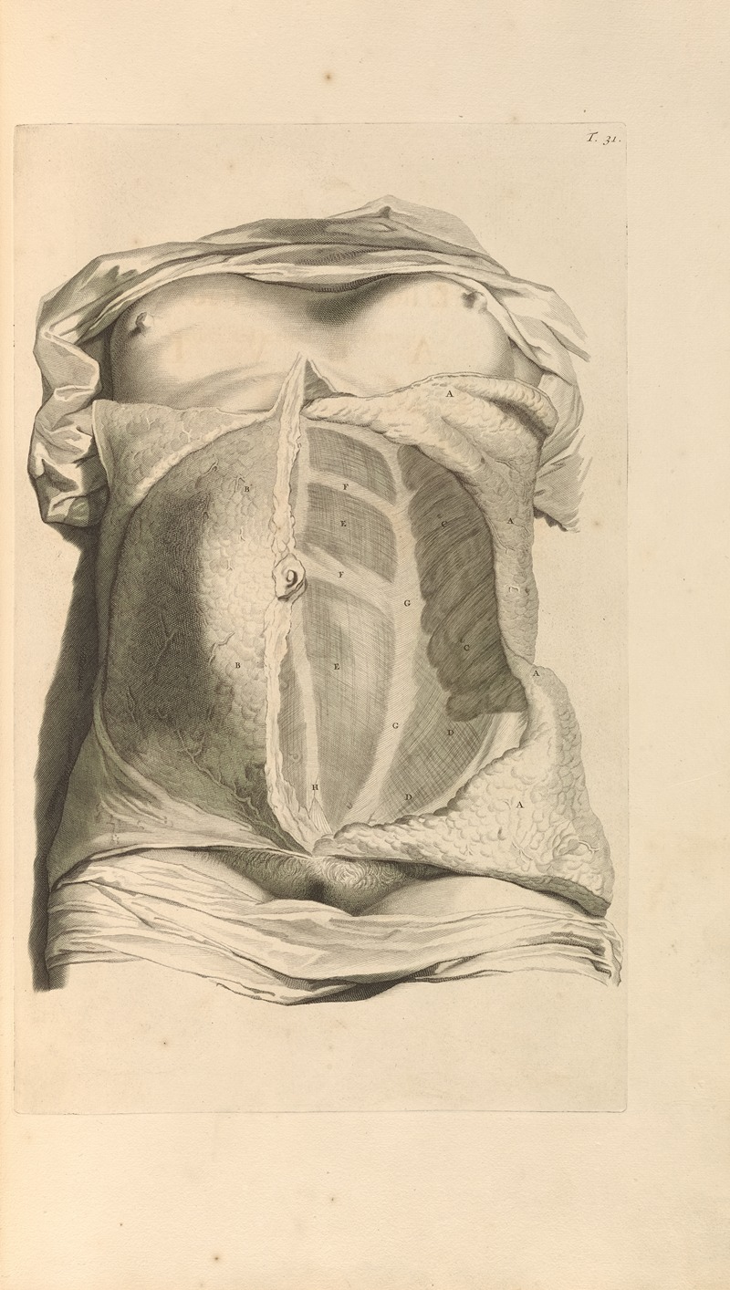 Gerard de Lairesse - Anatomia humani corporis Pl.032