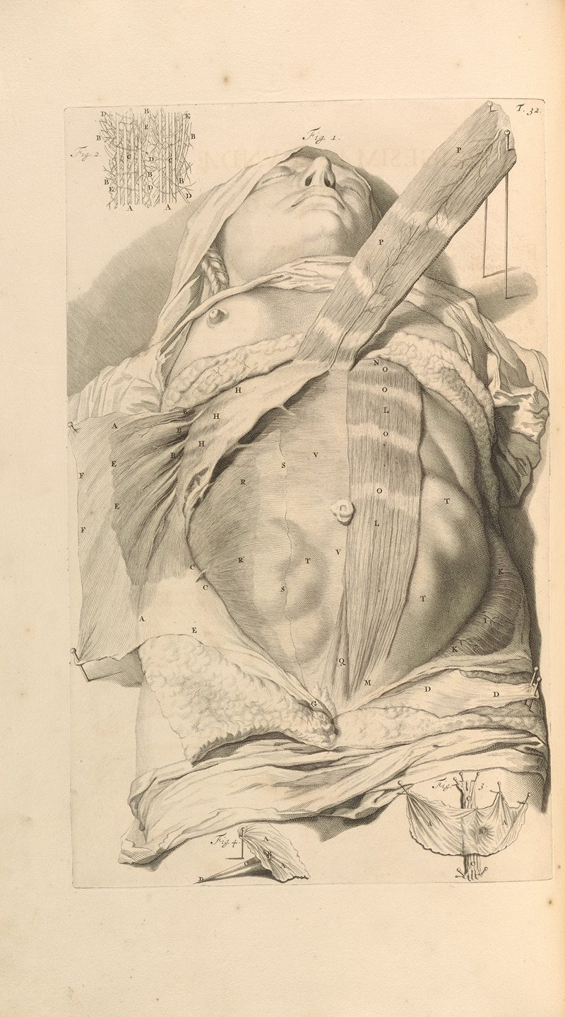 Gerard de Lairesse - Anatomia humani corporis Pl.033
