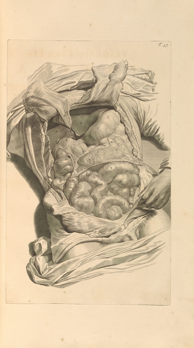 Gerard de Lairesse - Anatomia humani corporis Pl.034