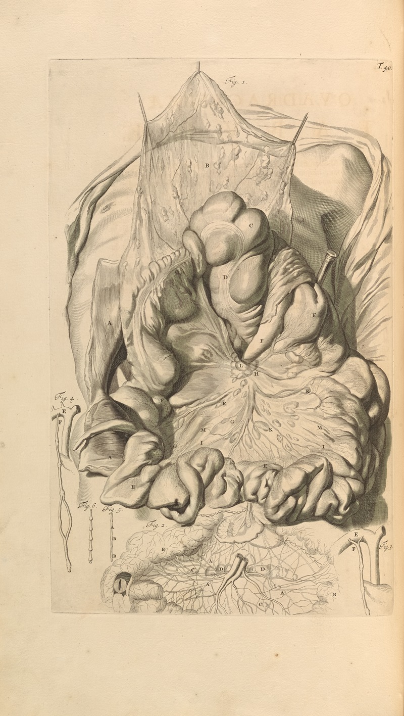 Gerard de Lairesse - Anatomia humani corporis Pl.041