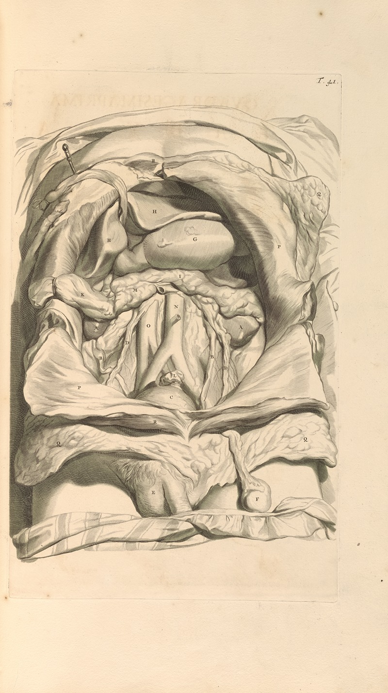 Gerard de Lairesse - Anatomia humani corporis Pl.042