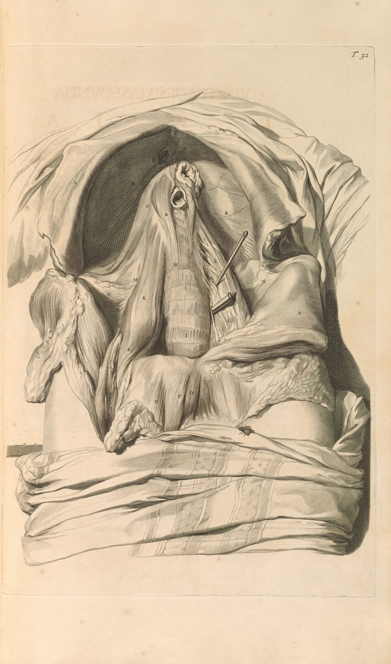 Gerard de Lairesse - Anatomia humani corporis Pl.053