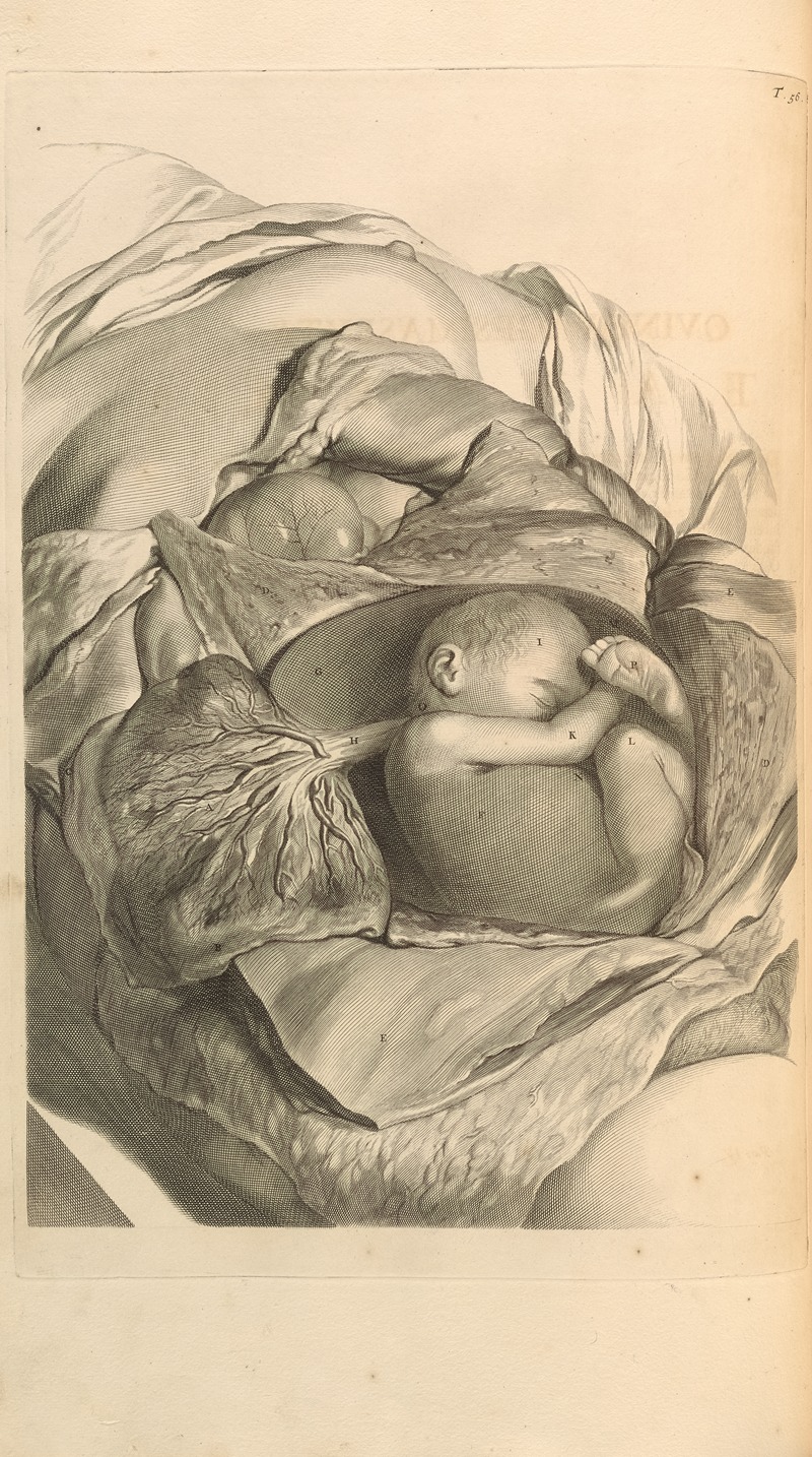 Gerard de Lairesse - Anatomia humani corporis Pl.057