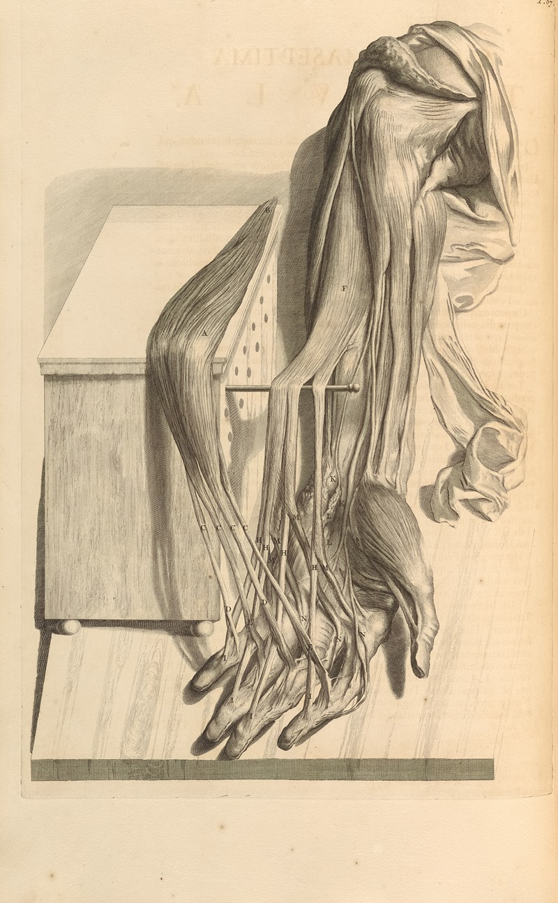 Gerard de Lairesse - Anatomia humani corporis Pl.068
