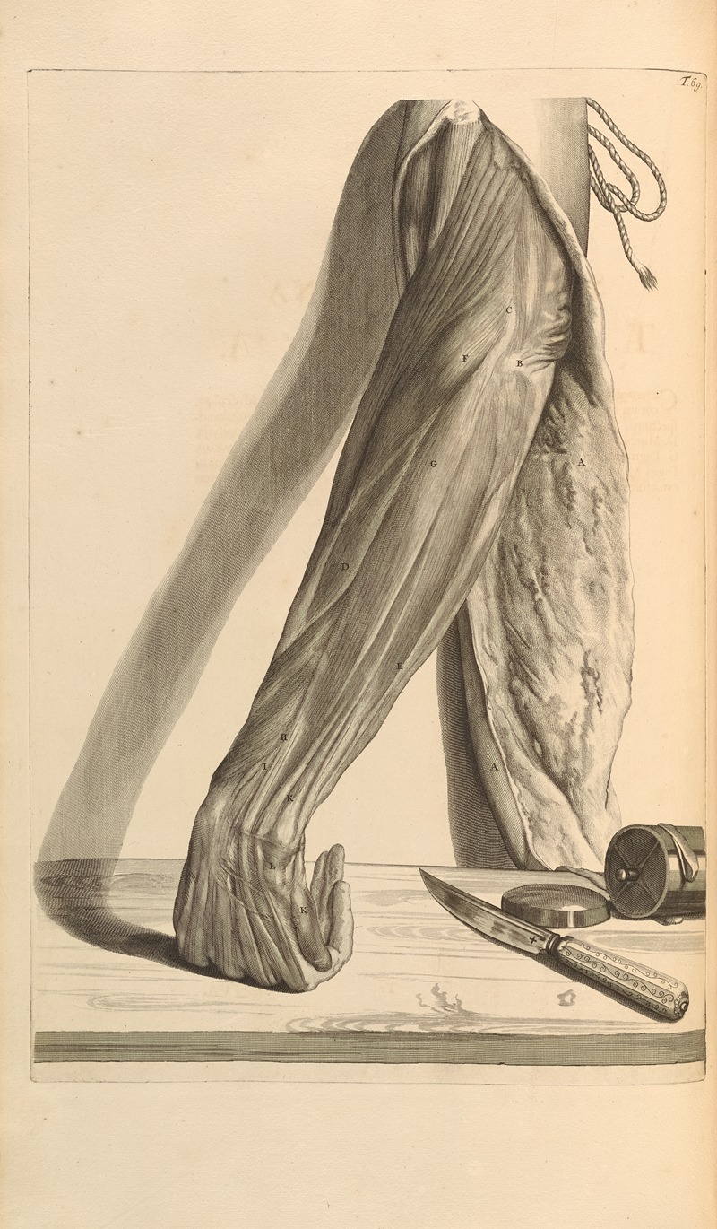 Gerard de Lairesse - Anatomia humani corporis Pl.070