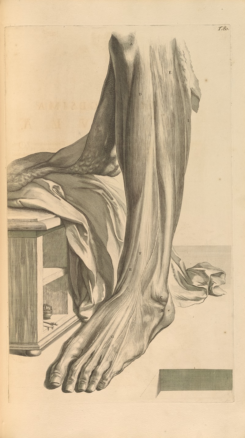 Gerard de Lairesse - Anatomia humani corporis Pl.081