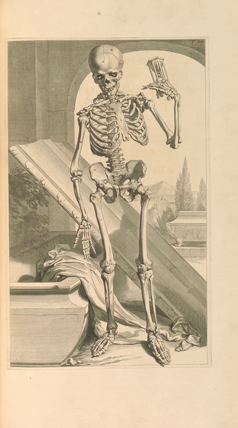 Gerard de Lairesse - Anatomia humani corporis Pl.088