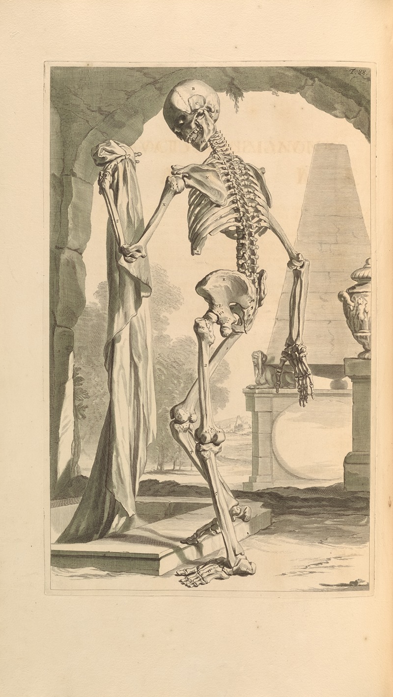 Gerard de Lairesse - Anatomia humani corporis Pl.089