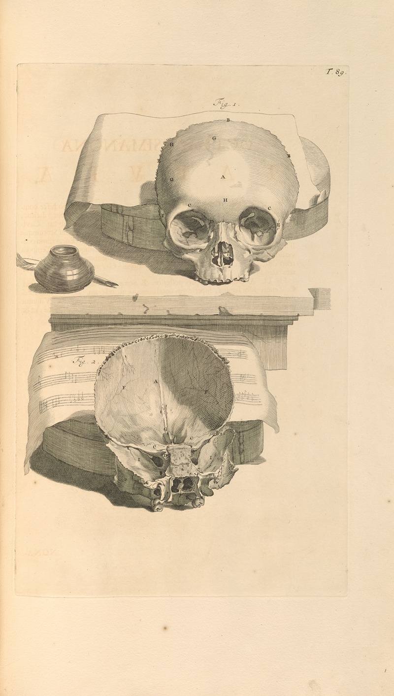Gerard de Lairesse - Anatomia humani corporis Pl.090