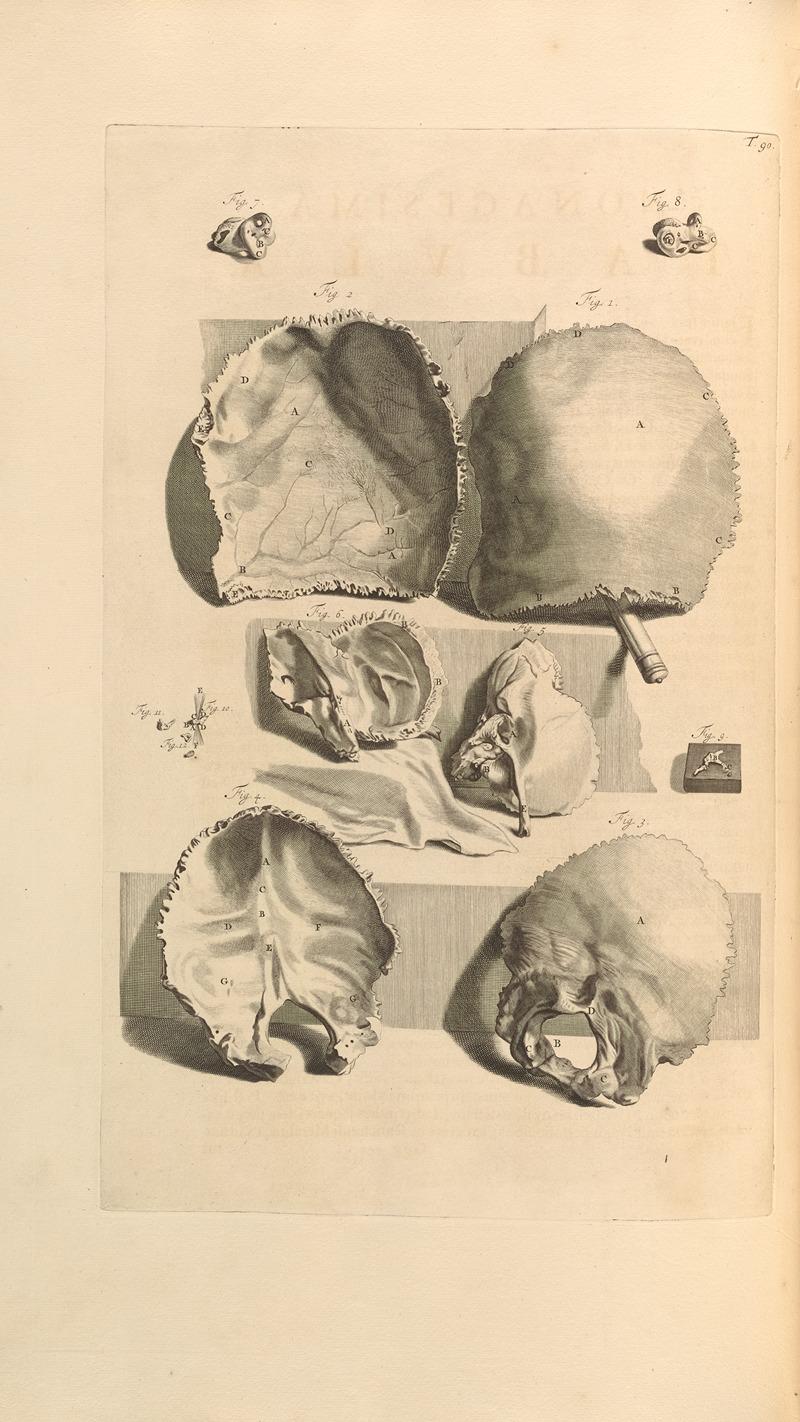 Gerard de Lairesse - Anatomia humani corporis Pl.091