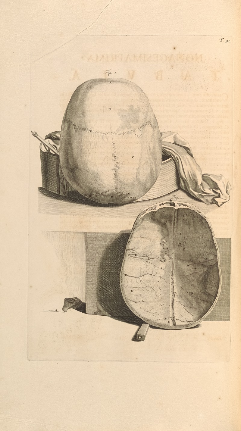 Gerard de Lairesse - Anatomia humani corporis Pl.092