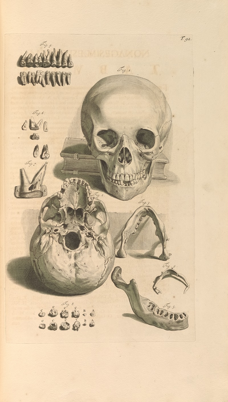 Gerard de Lairesse - Anatomia humani corporis Pl.093