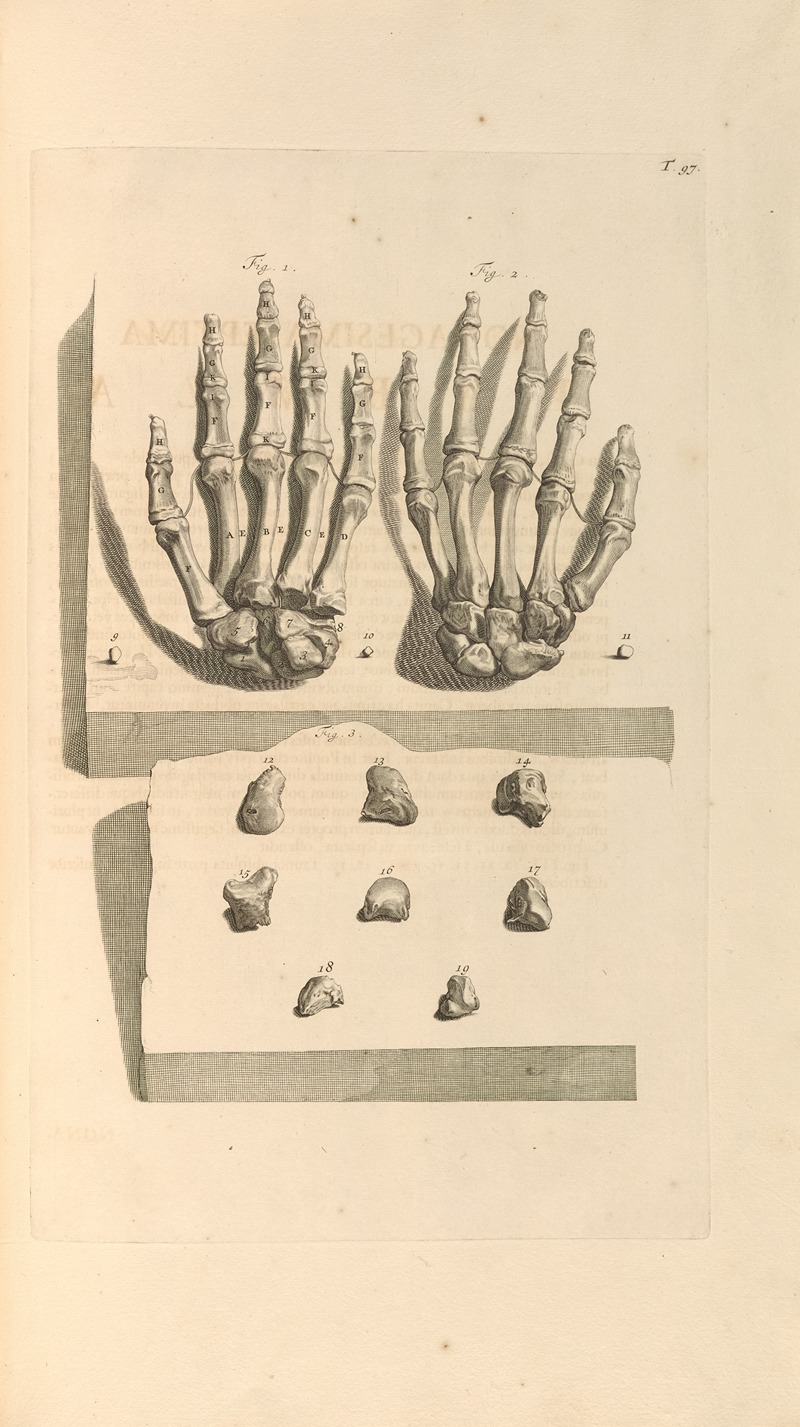 Gerard de Lairesse - Anatomia humani corporis Pl.098
