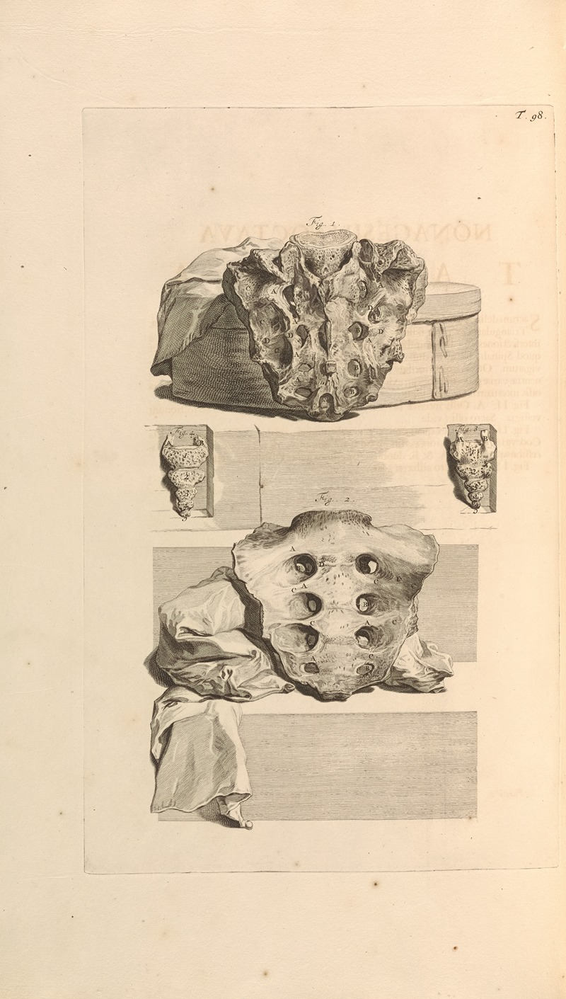 Gerard de Lairesse - Anatomia humani corporis Pl.099