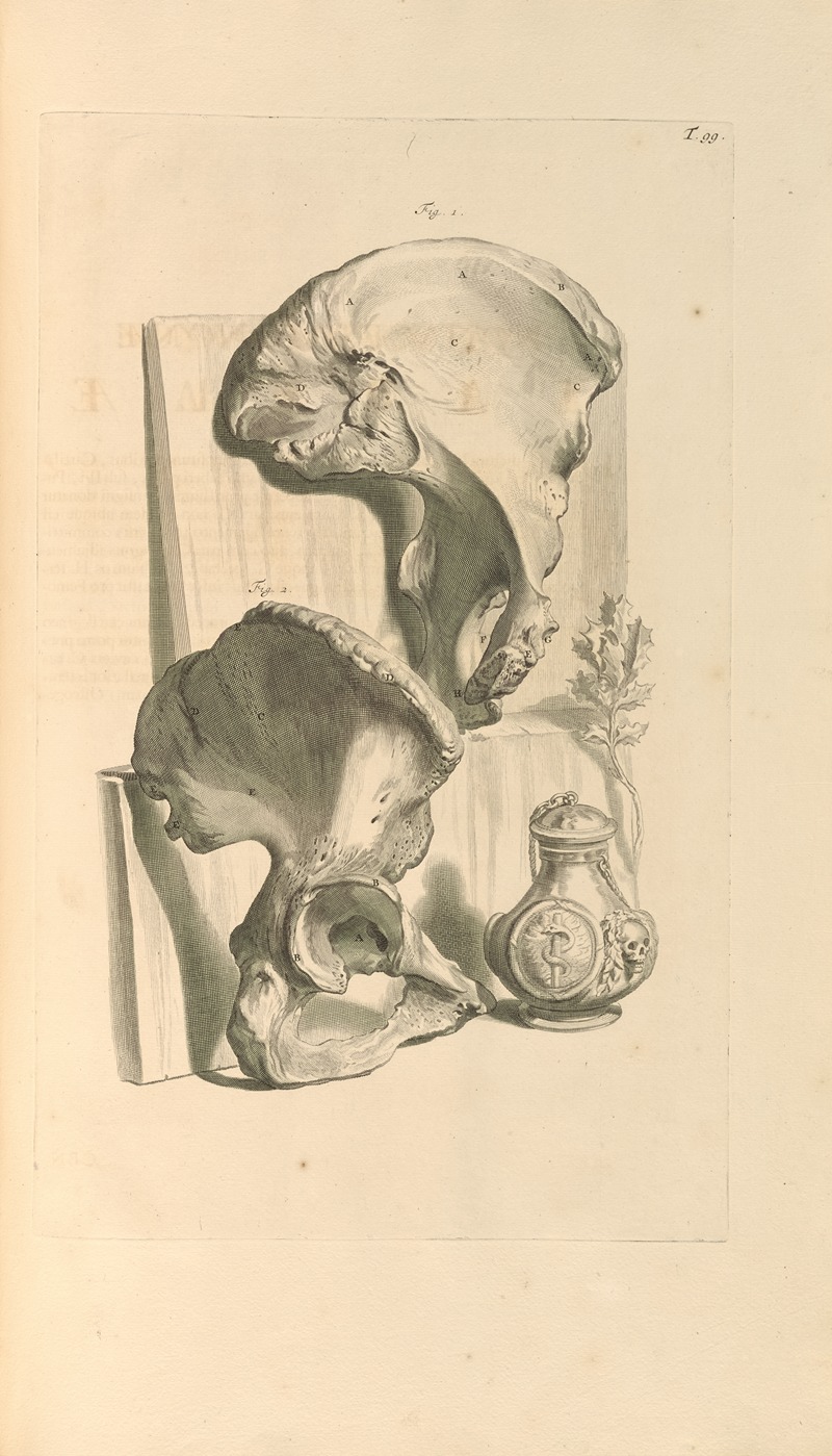 Gerard de Lairesse - Anatomia humani corporis Pl.100