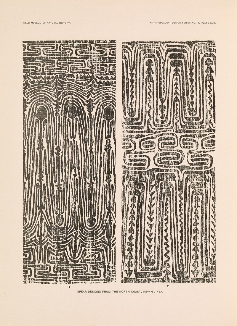 Albert Buell Lewis - Decorative art of New Guinea Pl.15