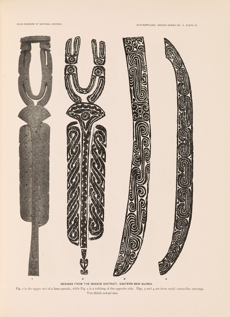 Albert Buell Lewis - Decorative art of New Guinea Pl.34