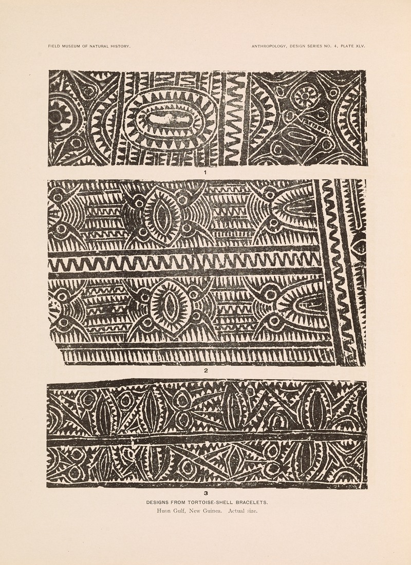 Albert Buell Lewis - Decorative art of New Guinea Pl.37