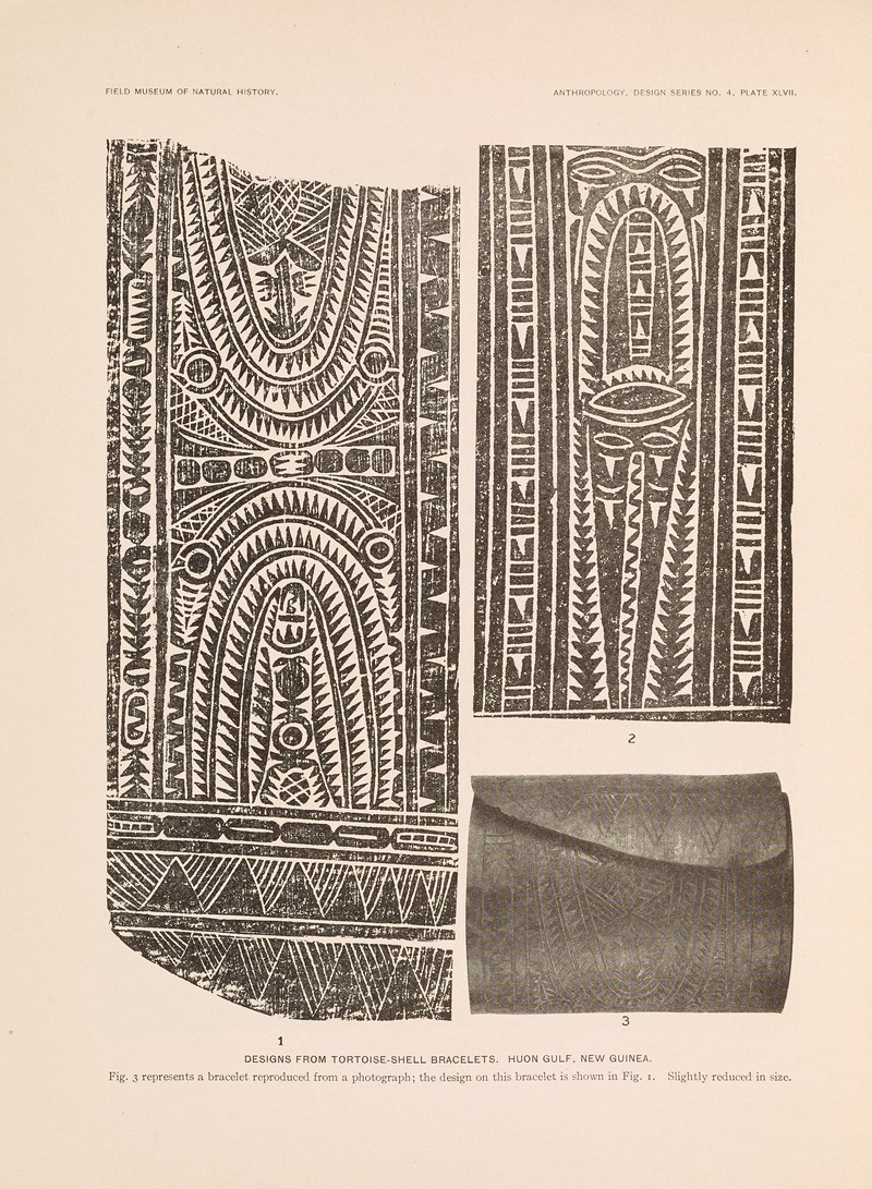 Albert Buell Lewis - Decorative art of New Guinea Pl.39