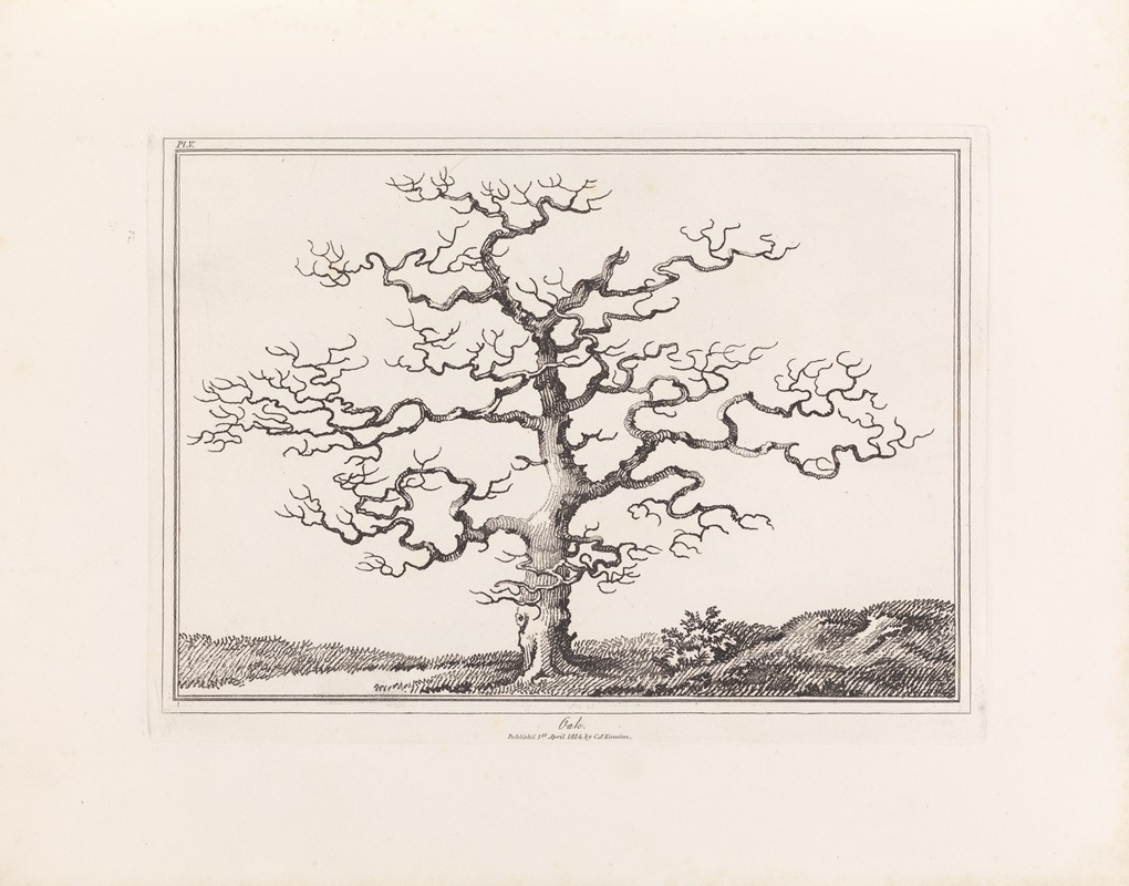 E. Kennion - An essay on trees in landscape