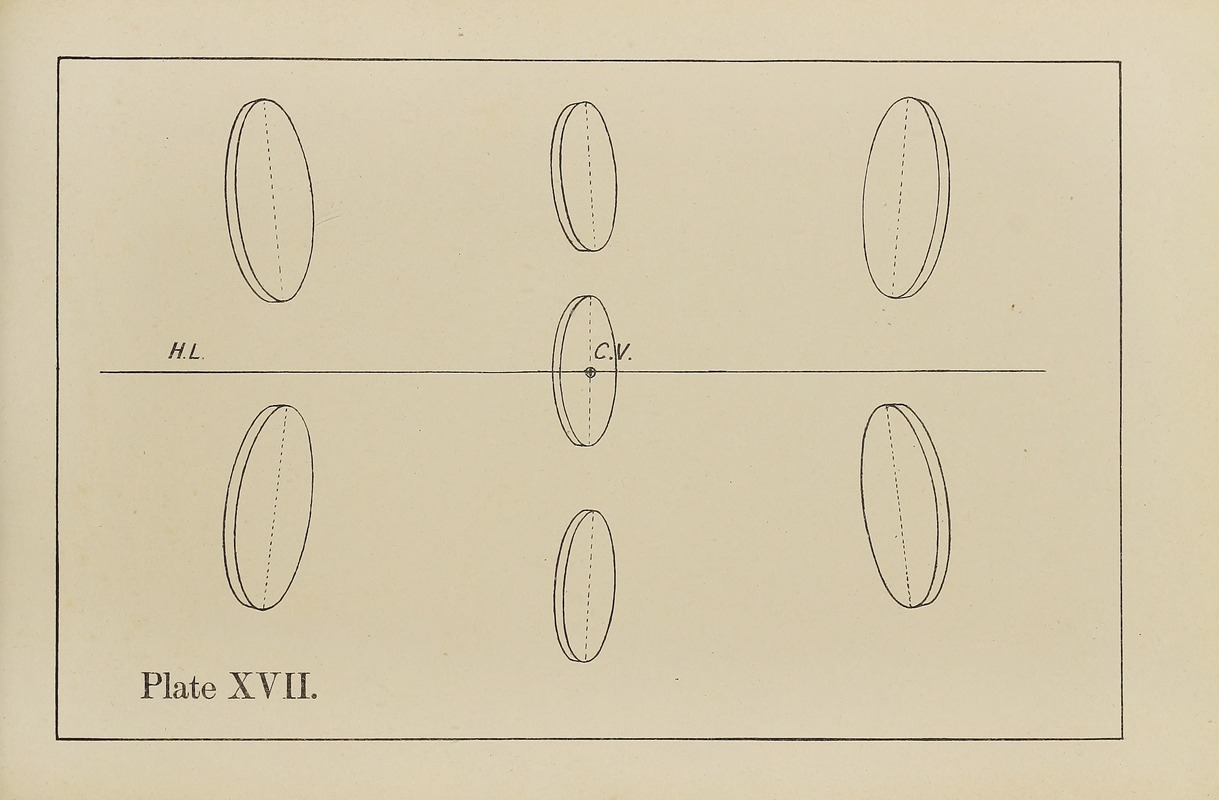 George Trobridge - The principles of perspective as applied to model drawing & sketching from nature Pl.17