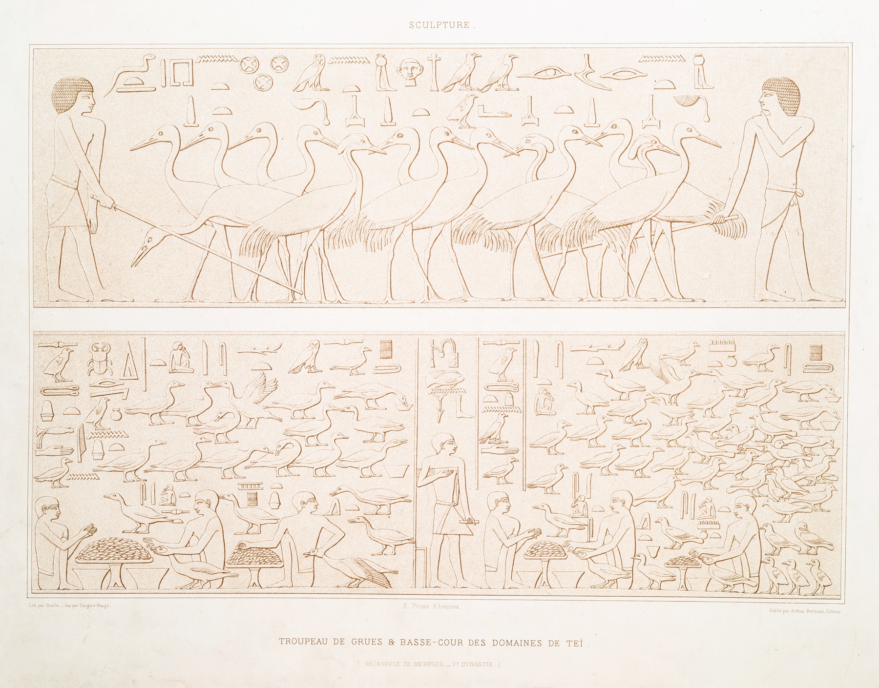 Émile Prisse d'Avennes - Sculpture; troupeau de grues & basse-cour des domaines de Teï (nécropole de Memphis — Ve. dynastie)