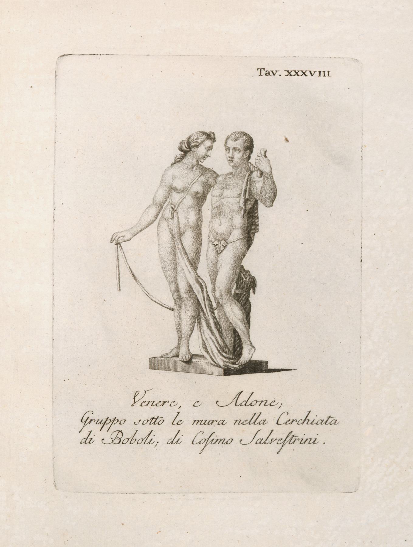 Gaetano Vascellini - Venere, e Adone; Gruppo sotto le mura nella Cerchiata di Boboli; di Cosimo Salvestrini.