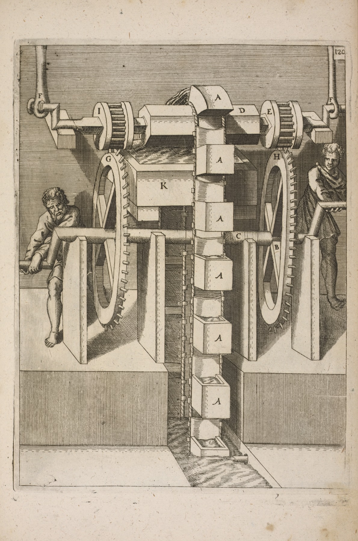 Georg Andreas Böckler - Fig. CXX. Haustrum, cum capsulis.