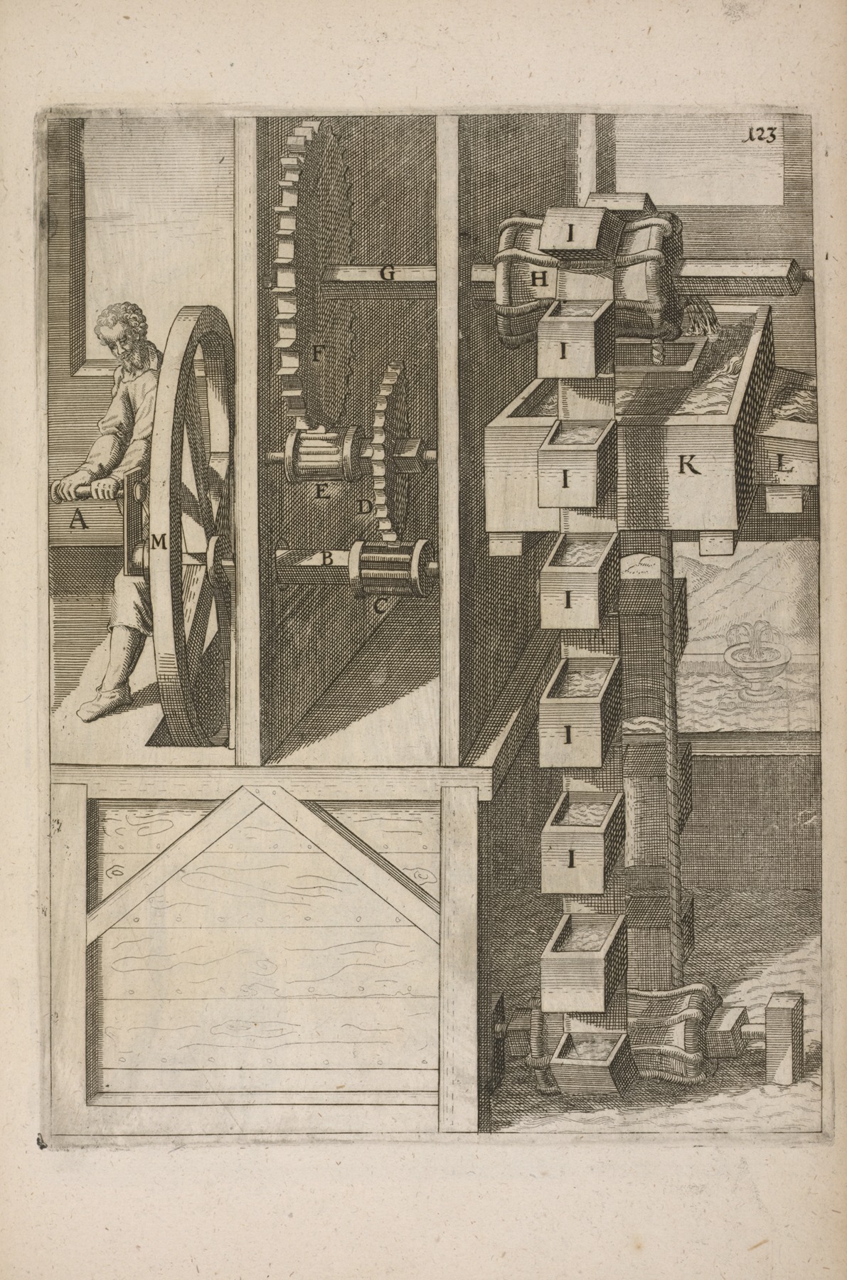 Georg Andreas Böckler - Fig. CXXIII. Haustrum, cum capsulis.