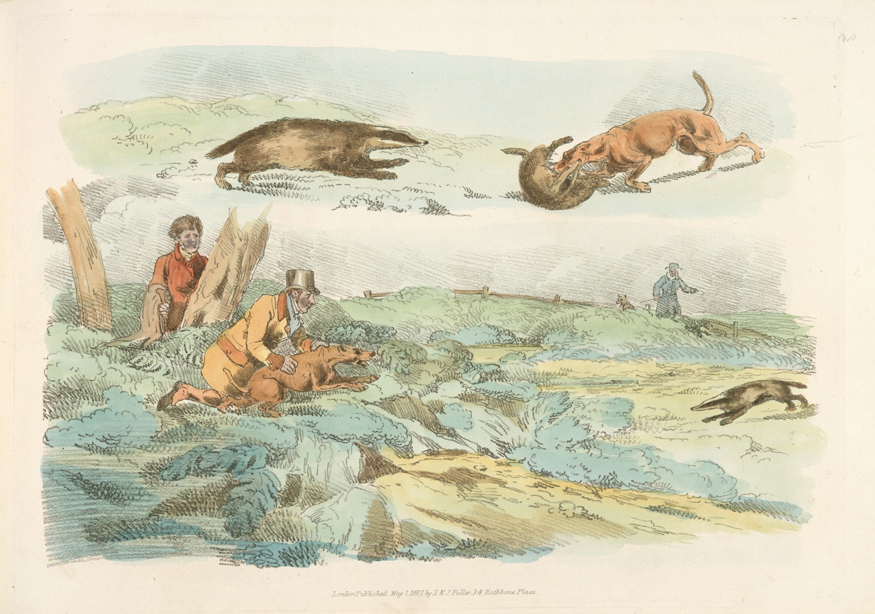 Badger Hunting Dogs Chasing And Attacing Badgers Artvee Badger Hunting Dogs Chasing And Attacing Badgers Artvee