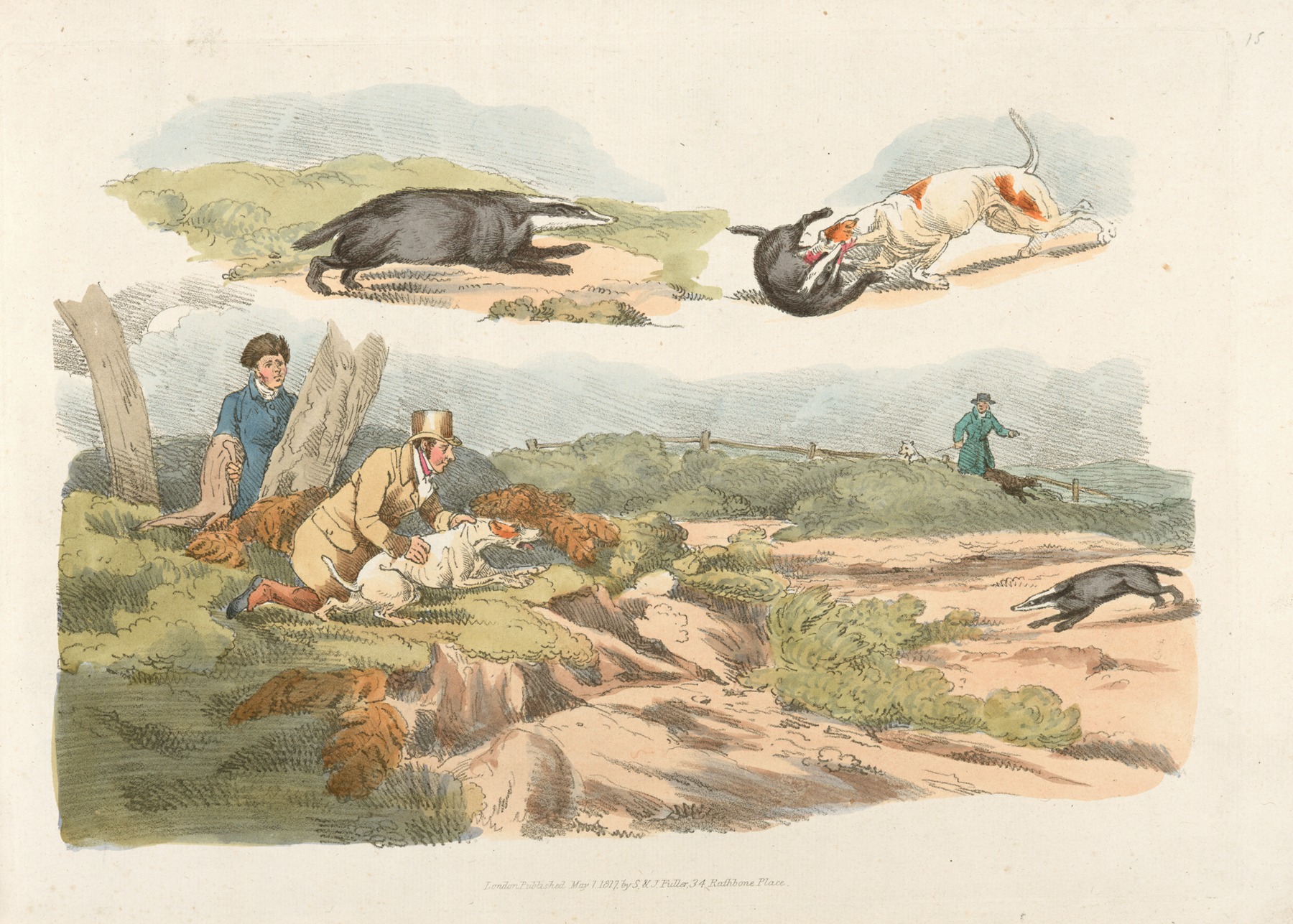 Henry Thomas Alken - Badger hunting; dogs chasing and attacking badgers