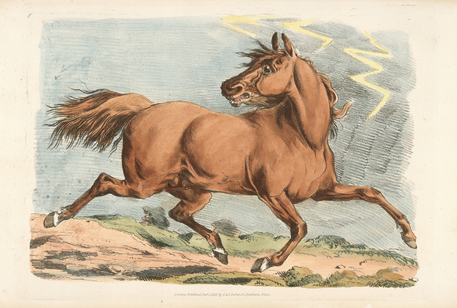 Henry Thomas Alken - Brown horse running