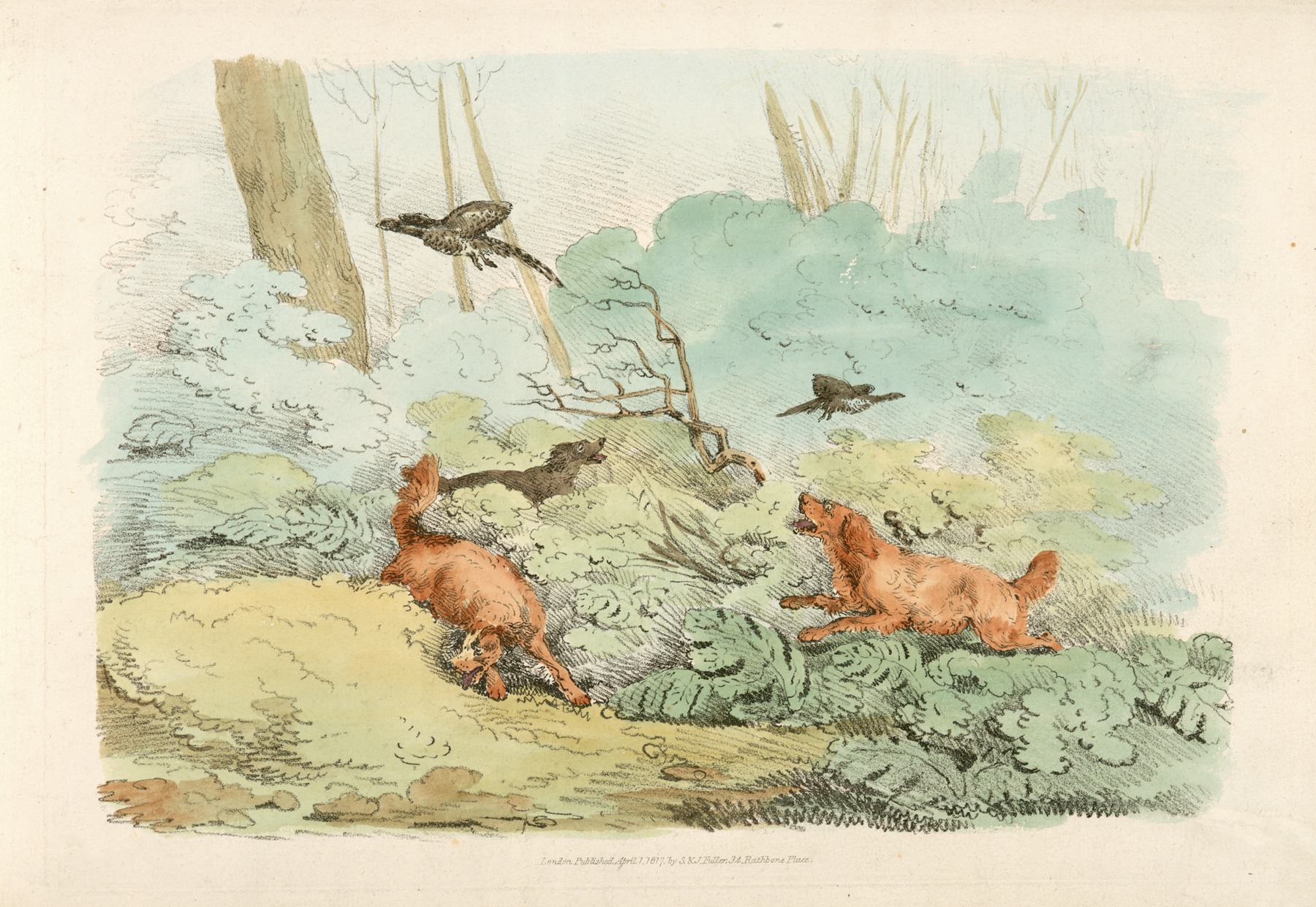 Henry Thomas Alken - Dogs chasing birds