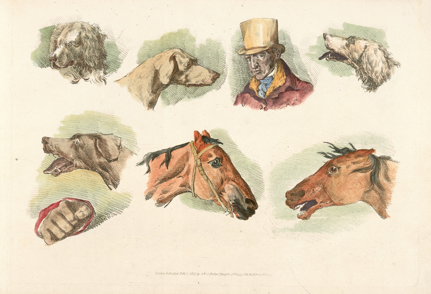 Henry Thomas Alken - Heads of dogs, horses and of a man