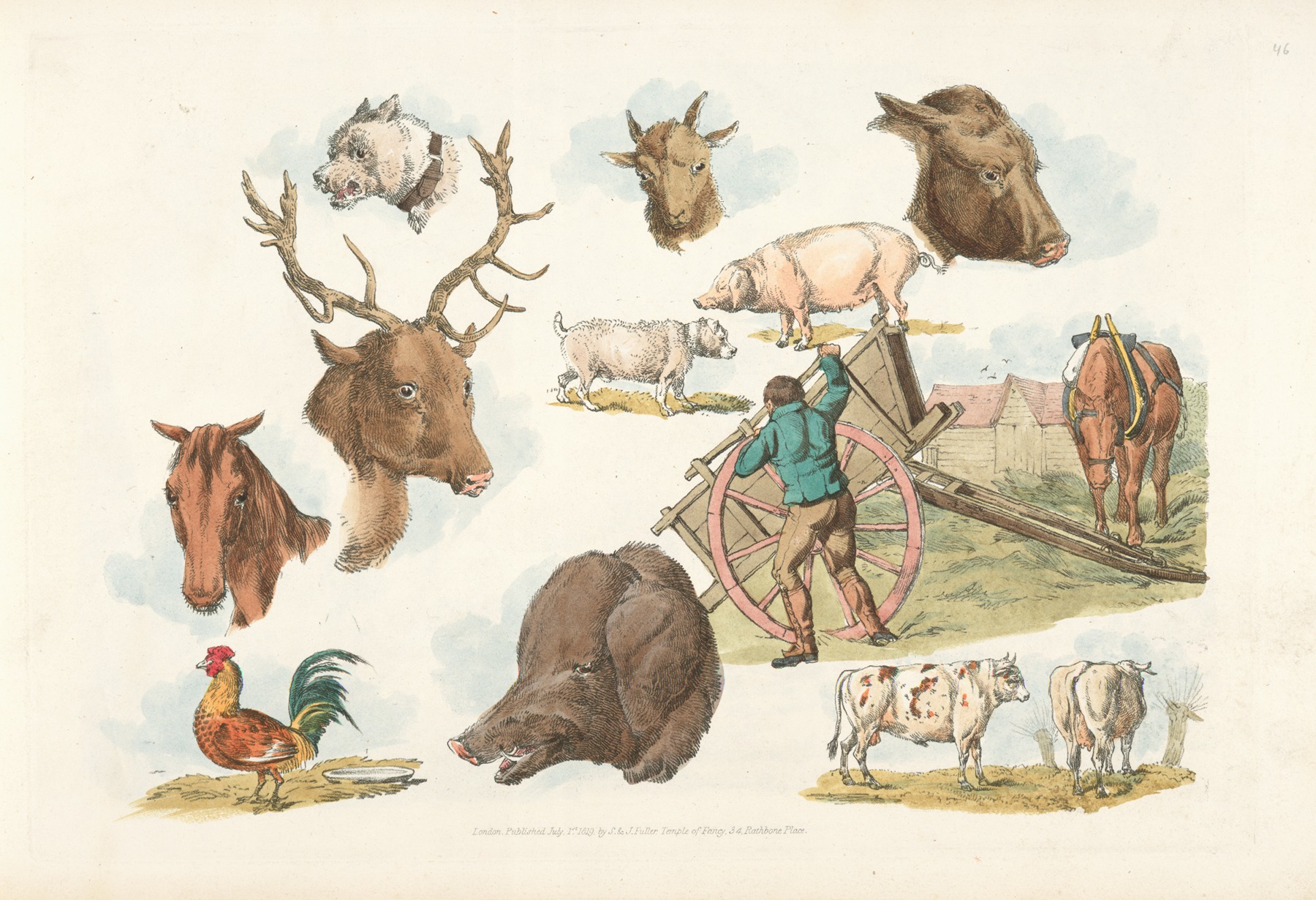 Henry Thomas Alken - Heads of domestic and wild animals and full figure of a dog, pig, horse, cows and a cock; a working farmer