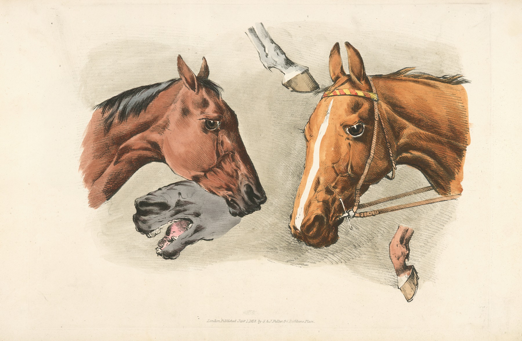 Henry Thomas Alken - Horse heads and …