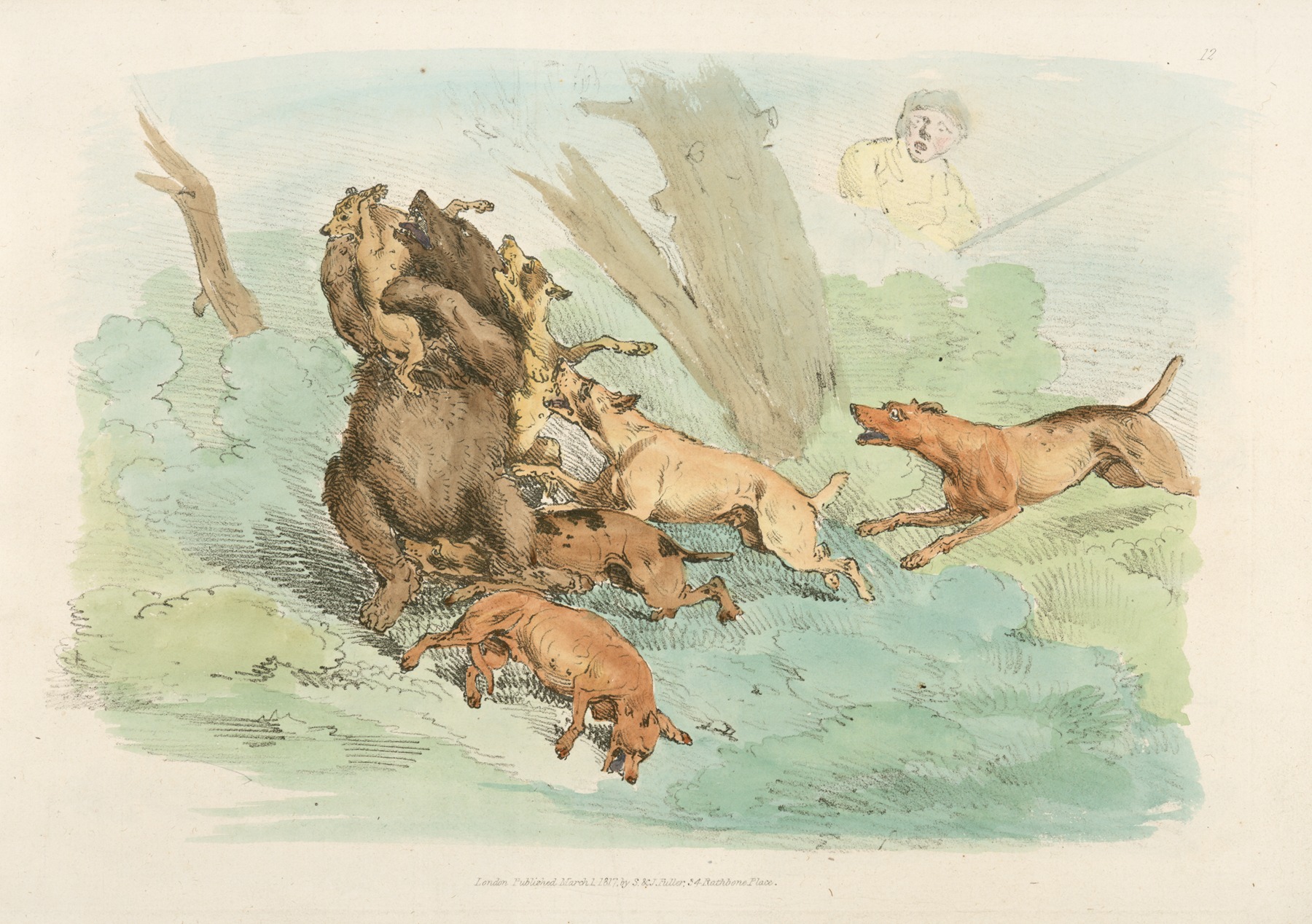 Henry Thomas Alken - Hunting dogs attacking a bear