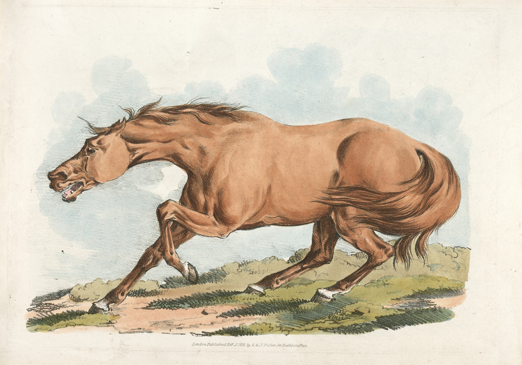 Henry Thomas Alken - Light-brown horse
