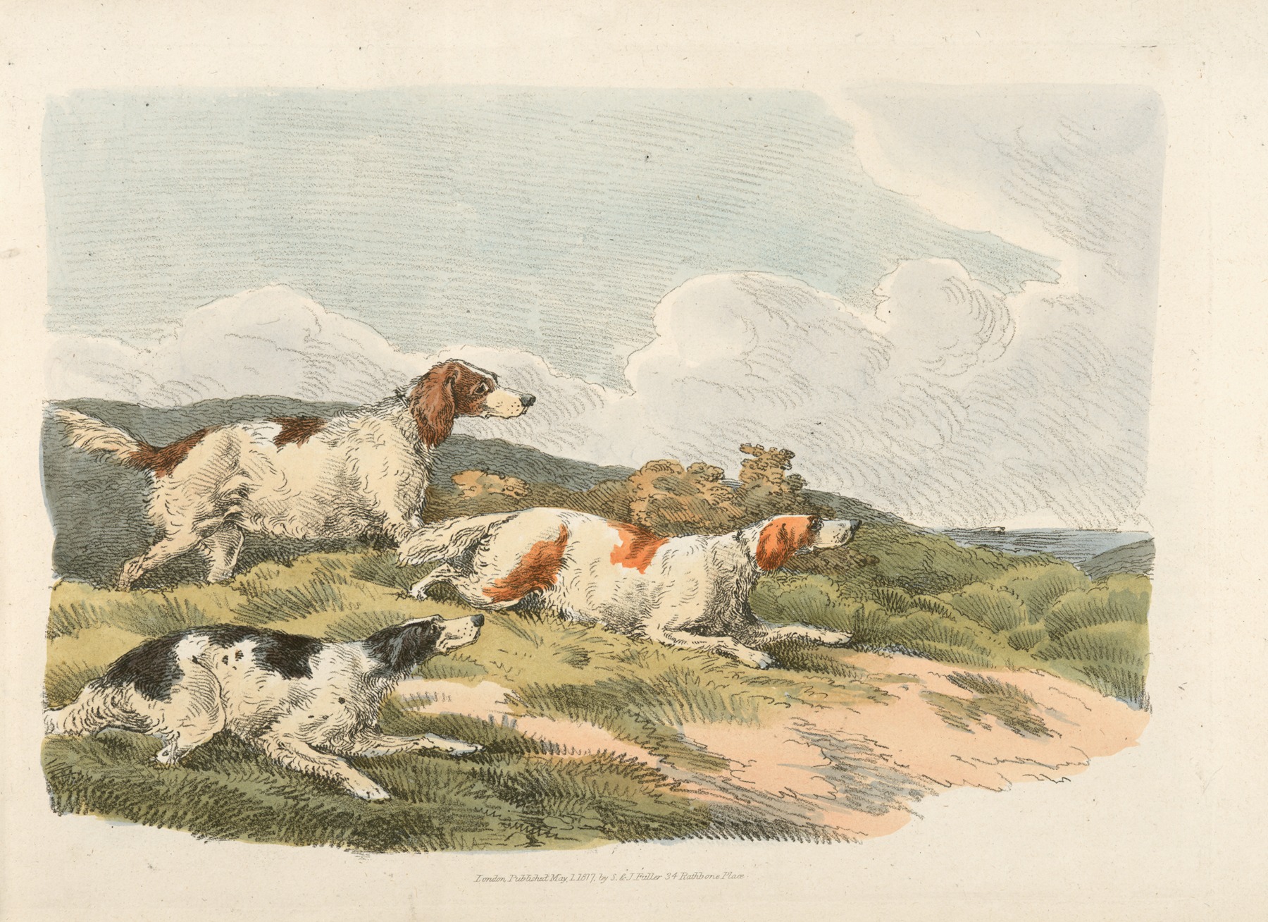Henry Thomas Alken - Running hounds