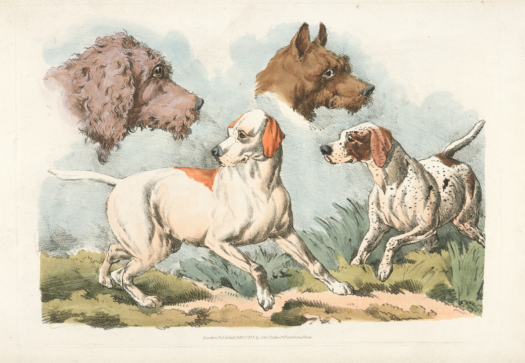 Henry Thomas Alken - Two dogs and two dog heads