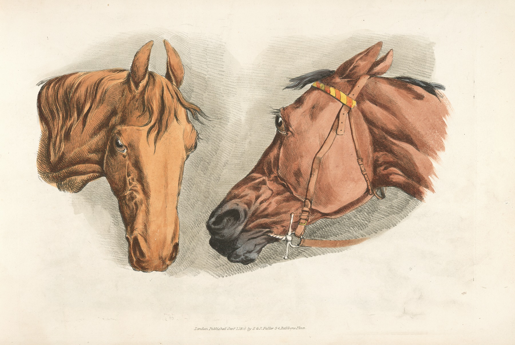 Henry Thomas Alken - Two horse heads