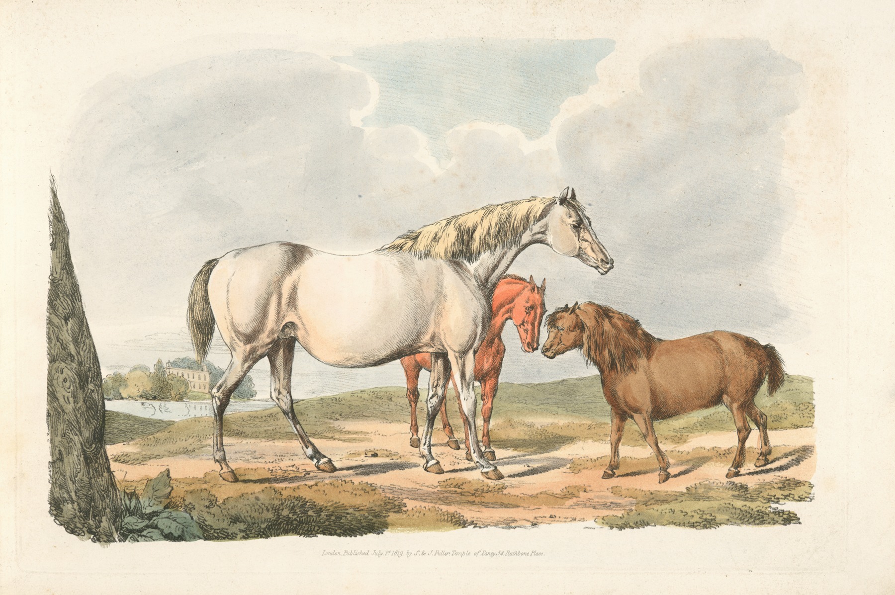 Henry Thomas Alken - Two horses and a pony