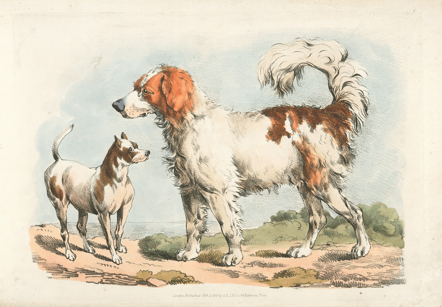 Henry Thomas Alken - Two hunting dogs
