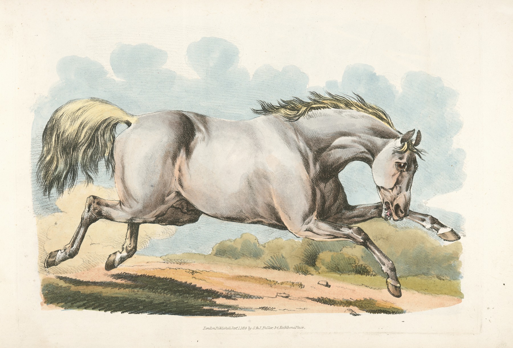 Henry Thomas Alken - White horse running