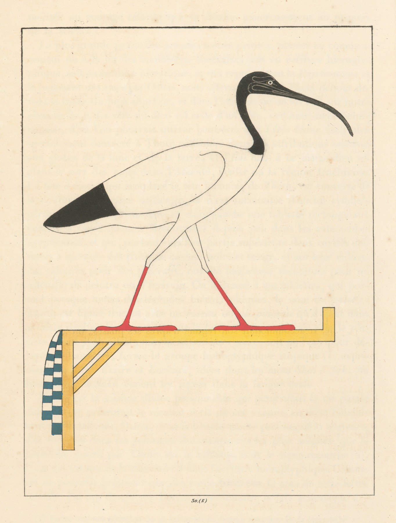 Léon-Jean-Joseph Dubois - L’Ibis, emblême vivant de Thoth le second Hermès.