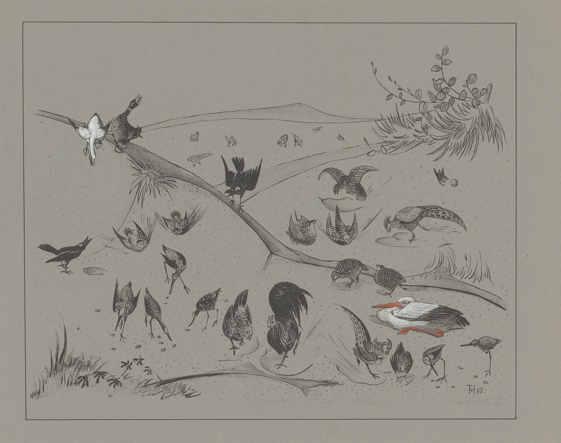 Theo van Hoytema - Verschillende vogelsoorten graven in de aarde.