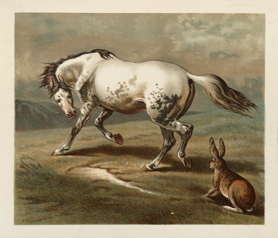 Margaret Sidney - Ballad of the lost hare Pl.05